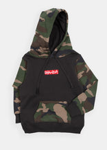 Load image into Gallery viewer, Oasis Hoodie