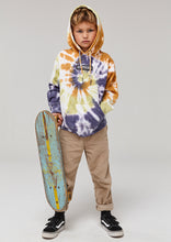 Load image into Gallery viewer, Vintage Hoodie
