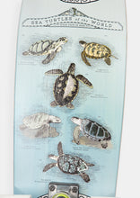 Load image into Gallery viewer, Cruiser Skateboard