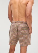 Load image into Gallery viewer, Murphy Shorts