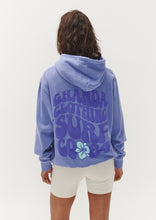 Load image into Gallery viewer, Vintage Hoodie