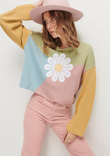 Load image into Gallery viewer, Daisy Panel Knit