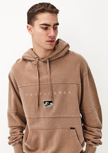 Load image into Gallery viewer, Worn Hoodie