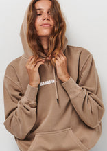 Load image into Gallery viewer, Vintage Hoodie