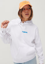 Load image into Gallery viewer, Vintage Hoodie