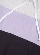 Load image into Gallery viewer, Sports Panel Hoodie