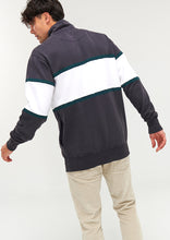 Load image into Gallery viewer, Panel Quarter Zip