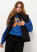 Load image into Gallery viewer, Skate Puffer Vest