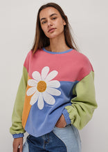 Load image into Gallery viewer, Panel Thrift Crew
