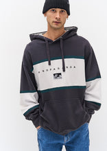Load image into Gallery viewer, Worn Hoodie
