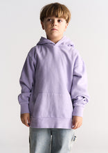 Load image into Gallery viewer, Basic Monster Hoodie
