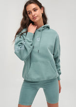 Load image into Gallery viewer, Vintage Hoodie
