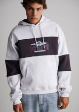 Load image into Gallery viewer, Worn Hoodie
