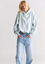 Load image into Gallery viewer, Basic Street Hoodie
