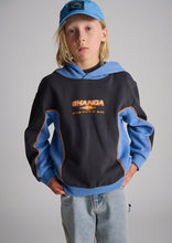 Load image into Gallery viewer, Misfit Hoodie
