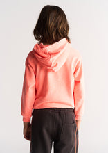 Load image into Gallery viewer, Premium Scar Hoodie
