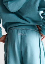 Load image into Gallery viewer, Stitch Trackies
