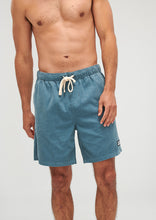 Load image into Gallery viewer, Coastal Shorts
