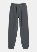 Load image into Gallery viewer, Premium Downtown Trackies
