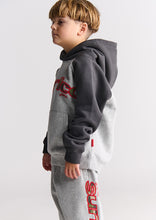 Load image into Gallery viewer, Comfy Raglan Sleeve Hoodie

