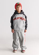 Load image into Gallery viewer, Comfy Raglan Sleeve Hoodie
