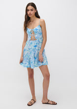 Load image into Gallery viewer, Celeste Dress
