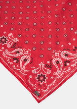 Load image into Gallery viewer, Headscarf
