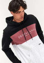 Load image into Gallery viewer, The Pass Hoodie
