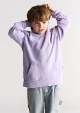 Load image into Gallery viewer, Basic Monster Hoodie
