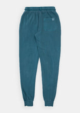 Load image into Gallery viewer, Skinny Trackies
