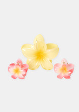 Load image into Gallery viewer, Frangipani Clip Pack
