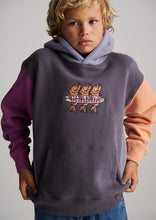 Load image into Gallery viewer, Rocky Panel Hoodie
