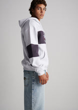 Load image into Gallery viewer, Worn Hoodie
