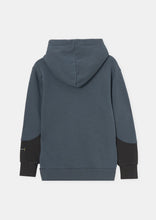 Load image into Gallery viewer, Panel Monster Hoodie
