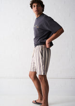 Load image into Gallery viewer, Murphy Shorts
