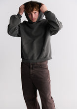 Load image into Gallery viewer, Basic Premium Street Hoodie
