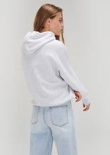 Load image into Gallery viewer, Vintage Hoodie
