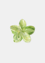 Load image into Gallery viewer, Frangipani Clip
