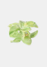 Load image into Gallery viewer, Frangipani Clip
