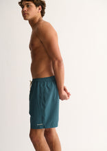 Load image into Gallery viewer, Sonny Swim Shorts
