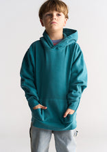 Load image into Gallery viewer, Basic Monster Hoodie
