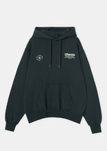 Load image into Gallery viewer, Vintage Hoodie
