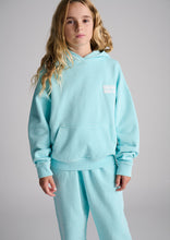 Load image into Gallery viewer, Downtown Hoodie
