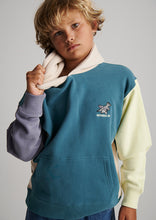 Load image into Gallery viewer, Rocky Panel Hoodie
