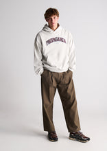 Load image into Gallery viewer, Premium Street Hoodie

