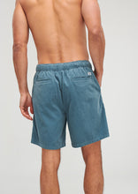 Load image into Gallery viewer, Coastal Shorts
