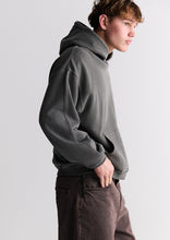 Load image into Gallery viewer, Basic Premium Street Hoodie

