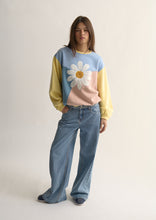 Load image into Gallery viewer, Panel Thrift Crew
