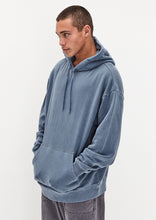 Load image into Gallery viewer, Basic Thrift Hoodie
