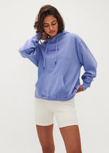 Load image into Gallery viewer, Vintage Hoodie
